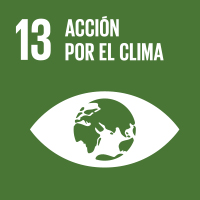 sdg-13.svg
